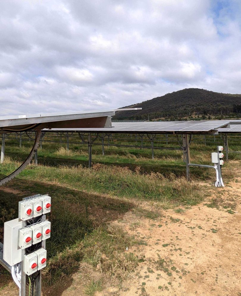 The SolarShare solar farm at Mt Majura near Canberra