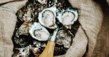 Fresh food films boost regional producers across the South East