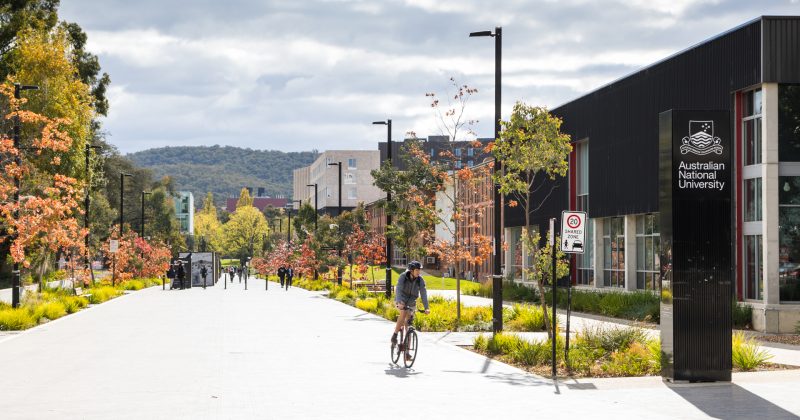 Senate inquiry calls for sweeping reforms to how Australia's unis are run
