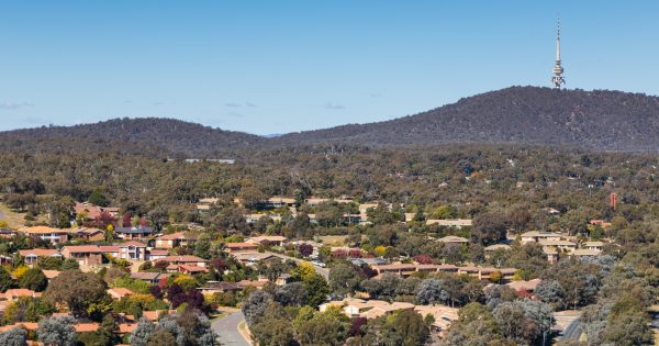 The best real estate agents in Belconnen