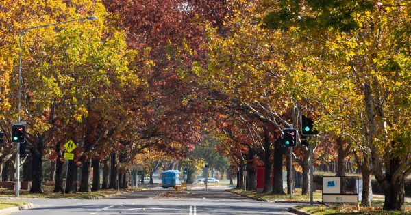 Home Truths: nosey neighbours and low-hanging suburban zoning fruit