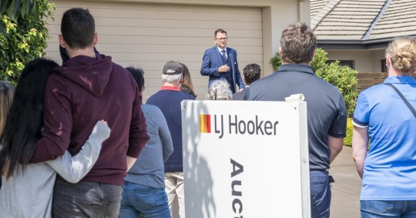 House prices edge back up as rates pause puts bounce into spring