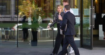 Weston Creek childcare director will fight dishonesty charges