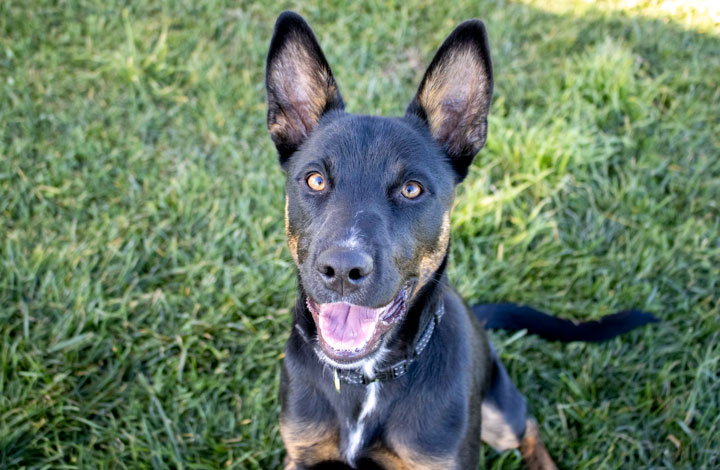 Lena