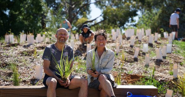 Mill House a catalyst for grass-roots social change