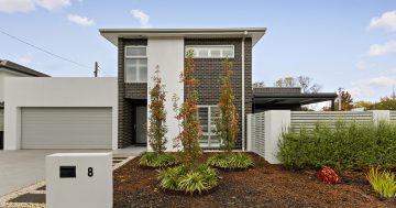 Splendid Lilley Street pad as good as it gets