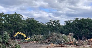 Broulee community furious about lack of consultation over land clearing for development