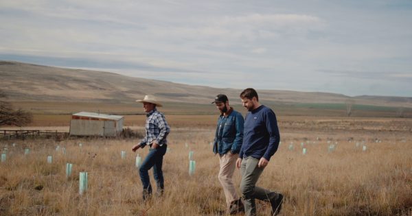 How buying a box of beer can have a tangible impact on the planet
