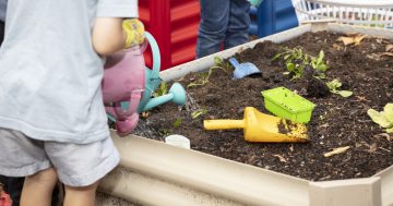 Childcare centres risk losing funding if safety not 'up to scratch'