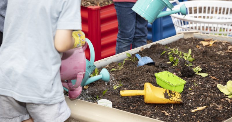 Canberra's childcare regulator lacks the legislative teeth to issue fines for safety breaches