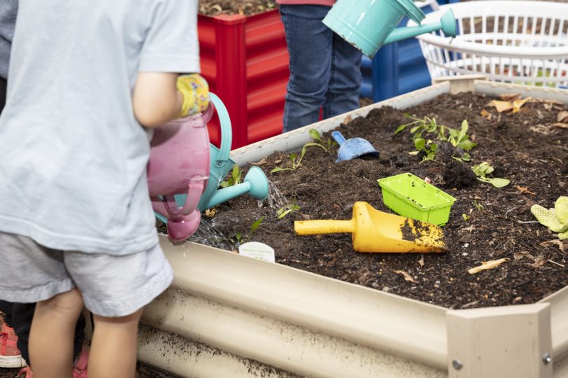 kids doing gardening