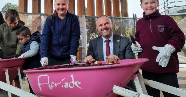 Bulbs go in as Floriade returns to the park