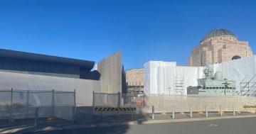 Trees come down as work starts on War Memorial expansion