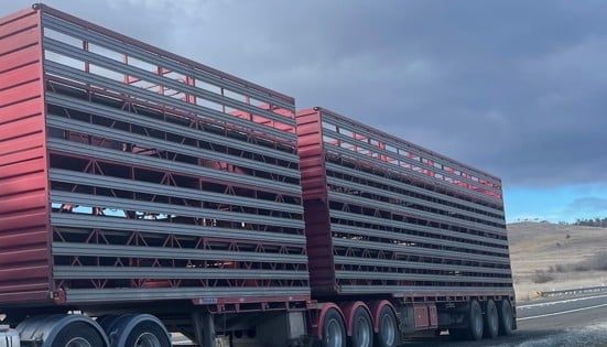 Canberra man flees into dam after allegedly stealing livestock trailers from Cooma