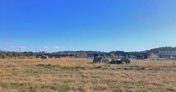 Confusion over Casey blocks: is it community land or not?