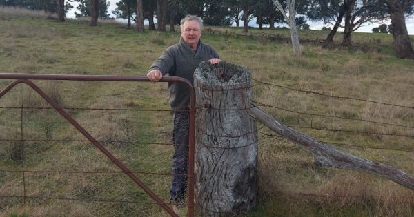 How the McKeough and Croker families buried bigotry