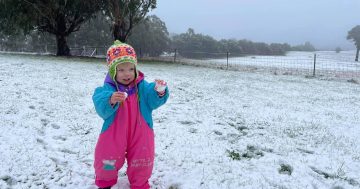 Snow worries, Canberra braces for another white weekend