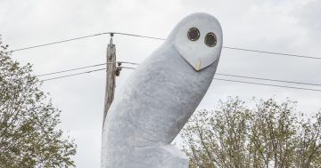 Belconnen Owl turns 10 and local post office marks the occasion
