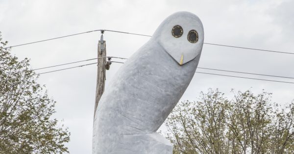 Belconnen Owl turns 10 and local post office marks the occasion