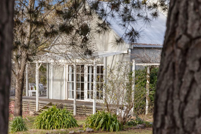House through trees