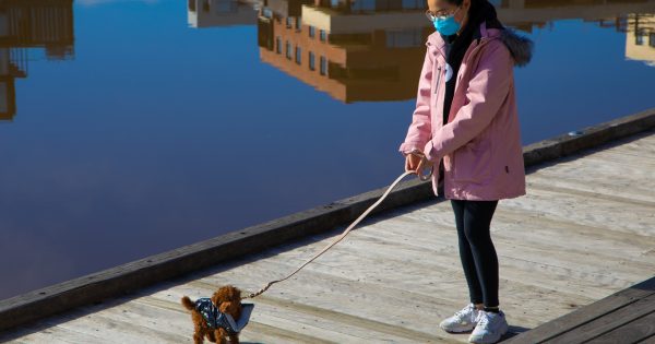 Pets can help during lockdown, but make sure you take care of them too