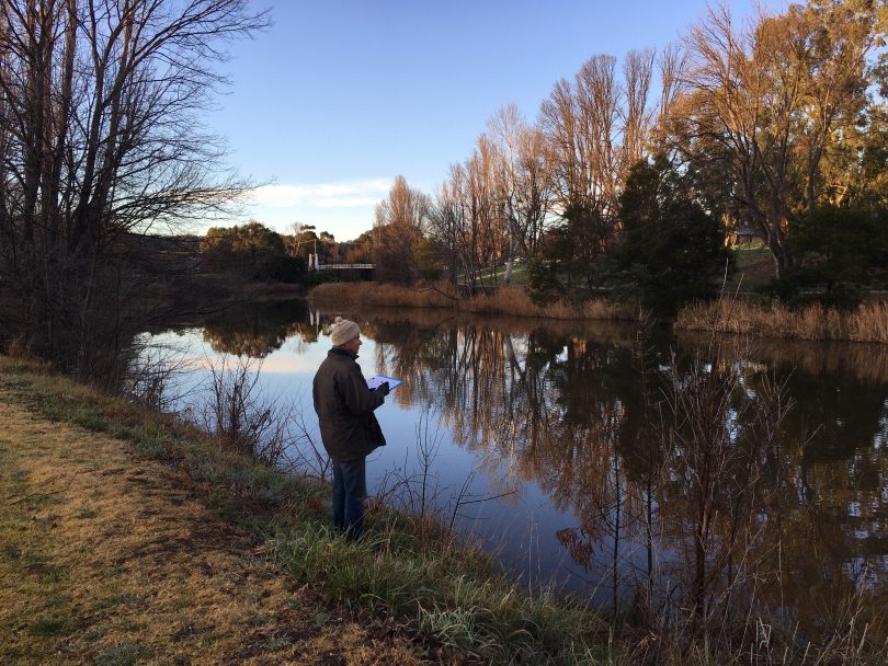 Upper Murrumbidgee Waterwatch volunteer surveying platypus activity in Queanbeyan River