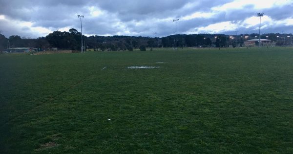 Referees allegedly assaulted at Canberra Rugby 7s game, including with 'coward' punch