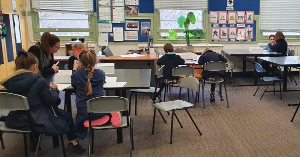 Intergenerational pen pal program the 'write' stuff to connect young and old