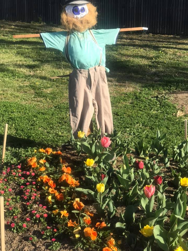 A scarecrow