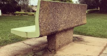 #CoolQueanbeyan celebrates Q-town's mid-century quirks