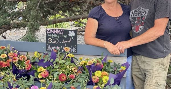 Jane and Jay's edible flowers are inspiring chefs, florists and cafes