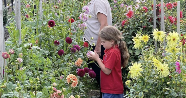 How a multigenerational family made a 'flower change' to Yass River