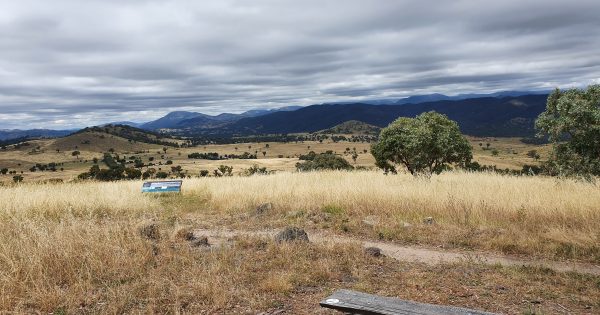 Follow the action as Canberra's leaders walk the talk and take on the Centenary Trail