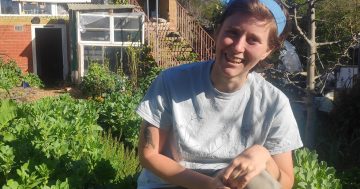 Patchwork Urban Farm: a community stitched together by a love of local produce