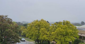 BOM updates forecast to 45 mm of rain today