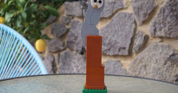 LEGO competition another building block in Can Give Day fundraiser