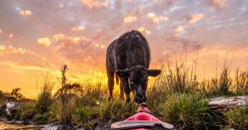 Paul Jurak: The Kayakcameraman prepares to leave the city he fell in love with