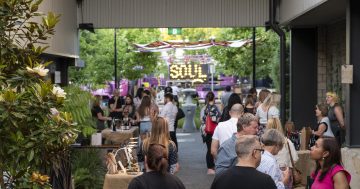 Local wine, design and play at the Dairy Road Market