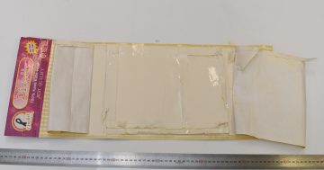 Wannabee cocaine courier's 'easy way to resolve his problems' ends with him in jail