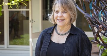 Hope, colour and life at Beaver Galleries as a new year beckons for Canberra's art world