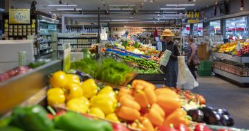 Abundance of produce at farmers' markets highlights importance of local food security