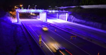 Welcome to the machine: Toll fiasco another example of tech tyranny
