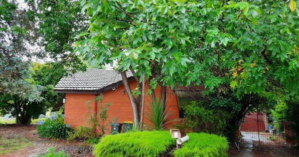 Another Mr Fluffy house discovered