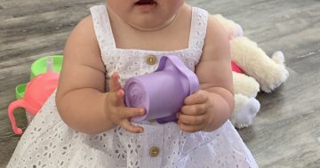 Canberrans prove sticklers for royal tradition in the top baby names for 2021