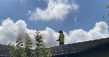 Determining how many panels you will need for your rooftop solar system