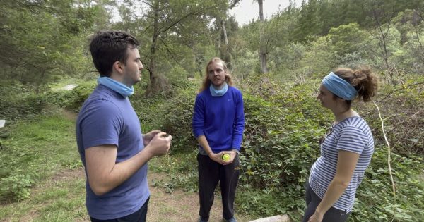 Who will be crowned Canberra's inaugural survivor?
