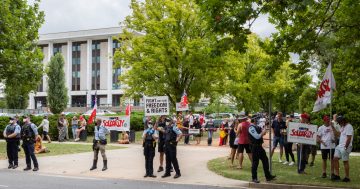 'Sightseeing' traveller allegedly assaulted police at anti-vaccination protest