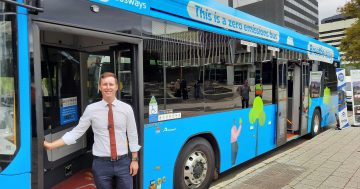 Government dings Liberals on free bus travel, return to pre-COVID timetable