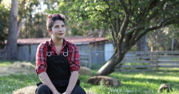 Cook up a feast in Dickson with Analiese Gregory's wild, wonderful food