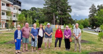 Heritage windbreak planting 'defies logic', casts shadow over new Downer homes